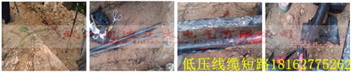 湖北大學校園麻豆黄色视频下载檢測.png