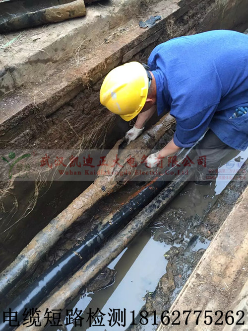 麻豆黄色视频下载測試.jpg